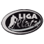 LIGA PLATA HOCKEY LÍNEA 2012-13