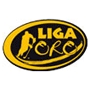 HOCKEY LÍNEA: Liga Oro 2013/2014