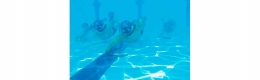 Dura lucha bajo el agua en el hockey subacuático