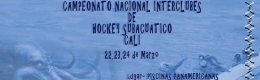 Primer encuentro nacional de Hockey Subacuático