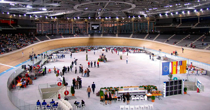 Pista de Hockey Línea Pabellón Polideportivo PALMA ARENA - Palma de Mallorca