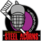 STEEL ACORNS 