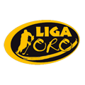 LIGA ORO MASCULINA