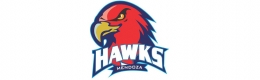 Los HAWKS de Mendoza son los campeones sudamericanos