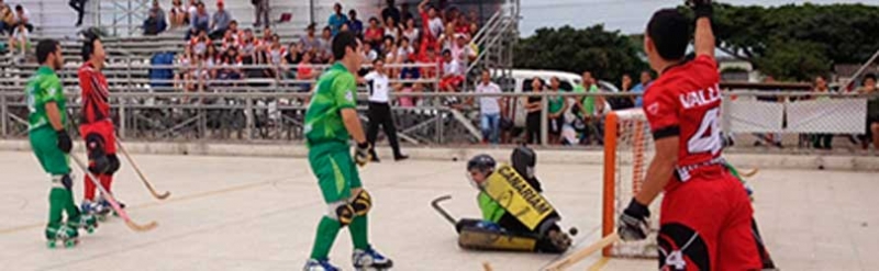 HOCKEY PATINES: VALLE CAMPEÓN NACIONAL INTERLIGAS