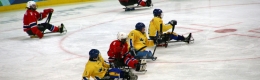 SLEDGE HOCKEY